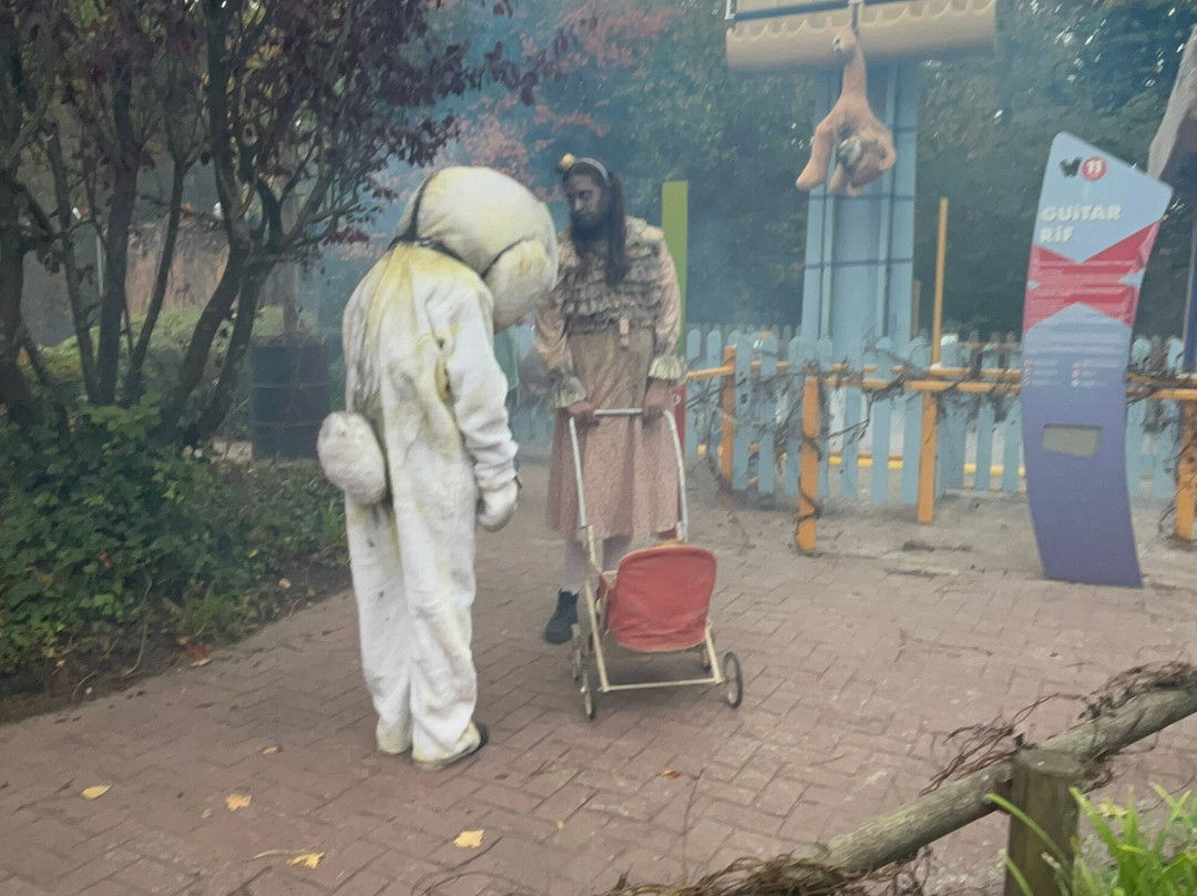 Walibi Belgium-瓦夫尔必去景点