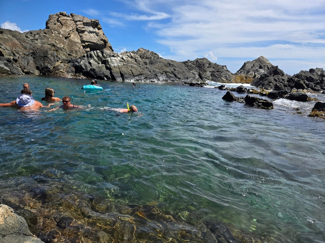 De Palm Tours-奥腊涅斯塔德必去景点