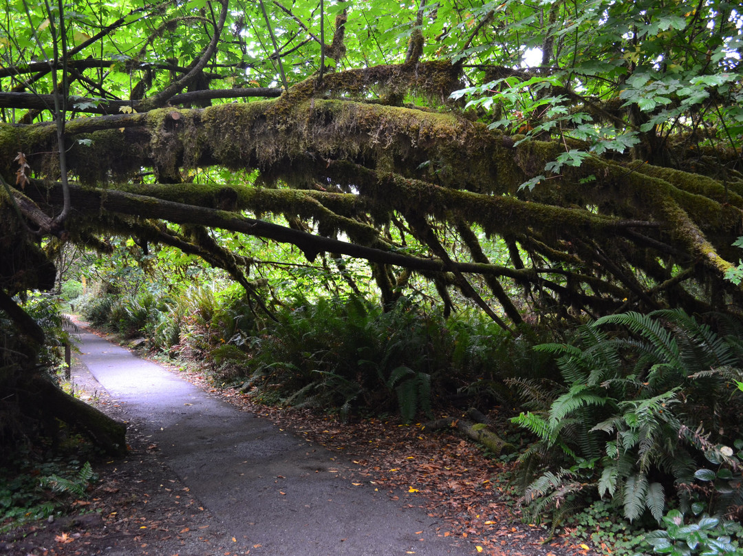 Prairie Creek - Foothill Trail Loop-Orick必去景点