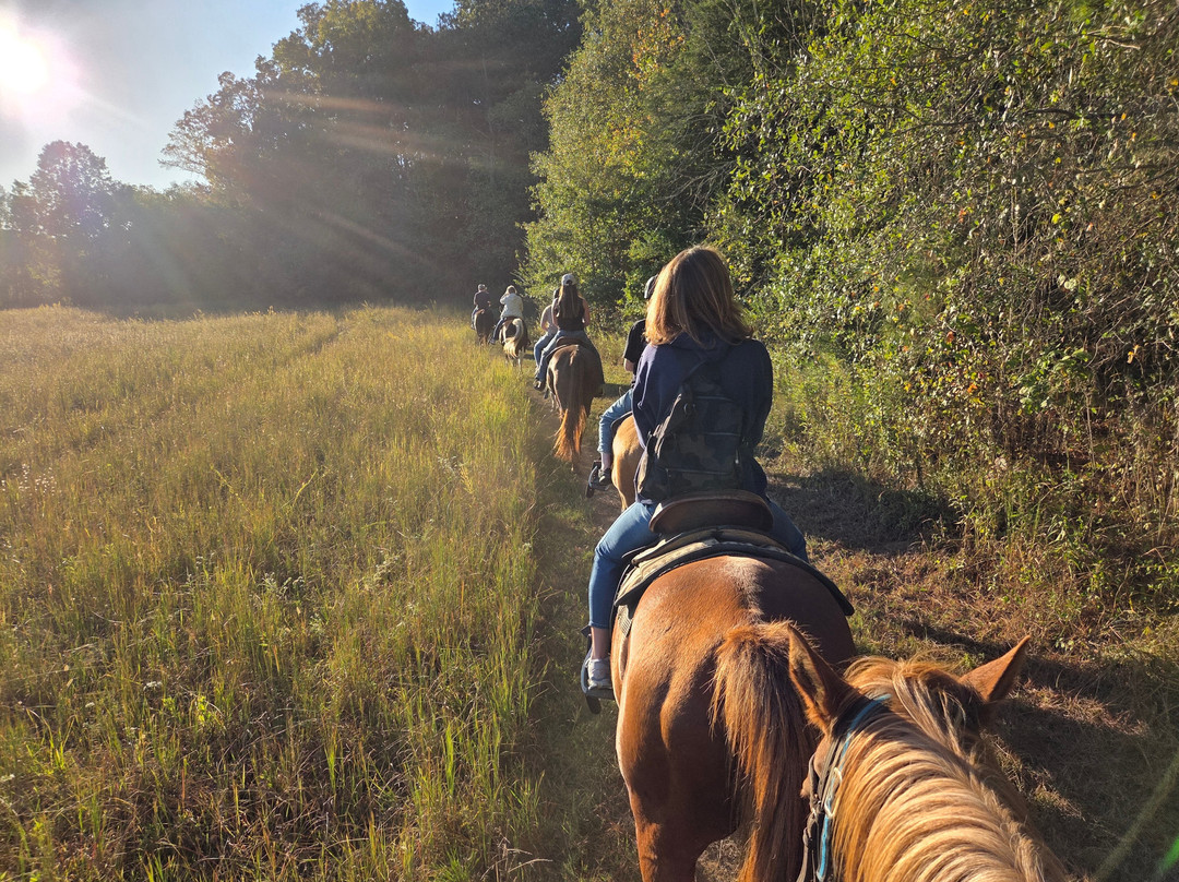 Ocoee HorseRide-Charleston必去景点