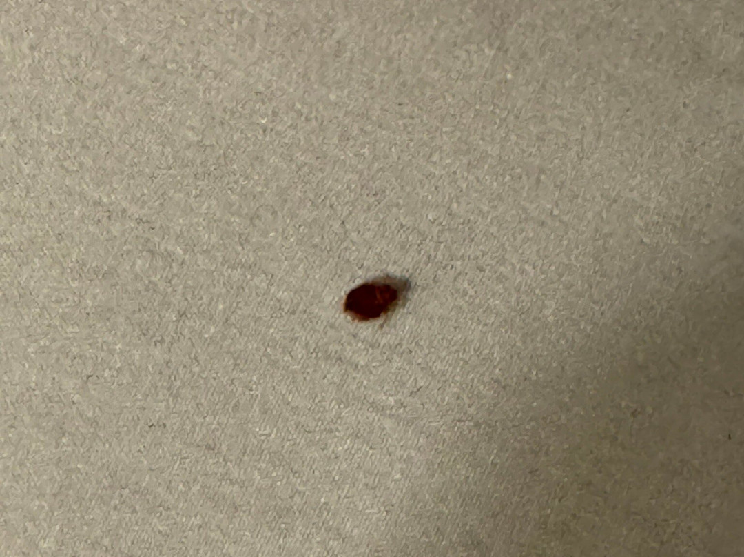 Royal Host Motel主图