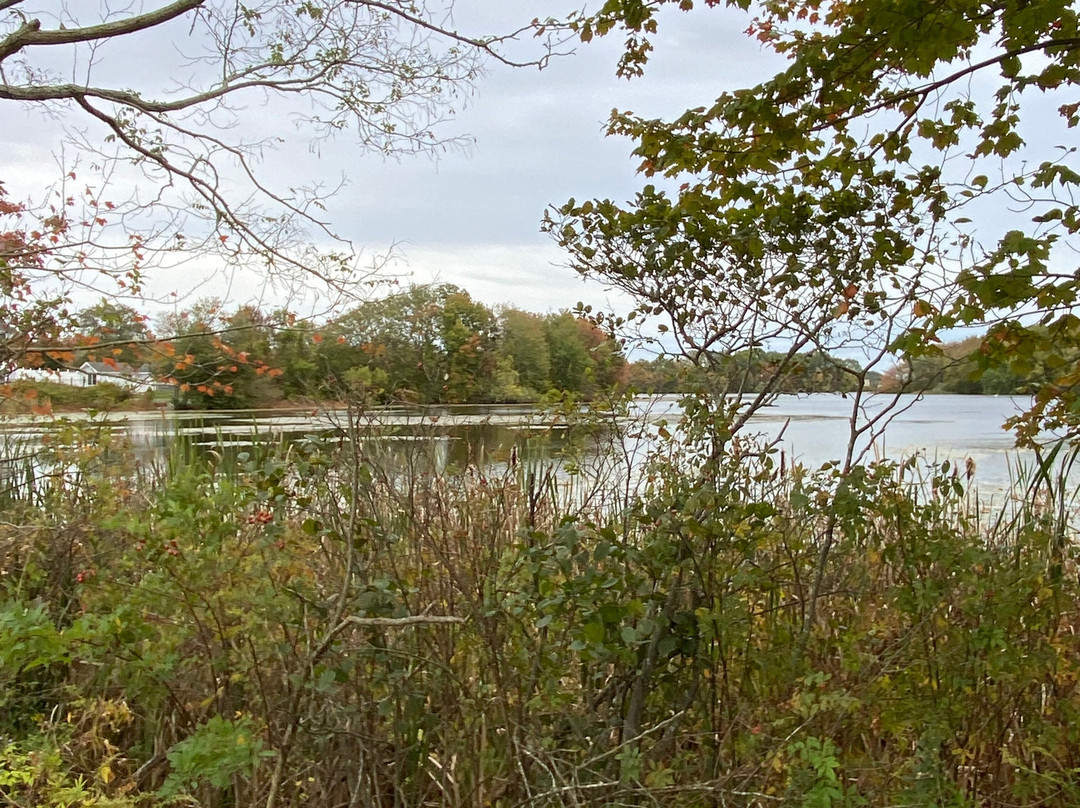 SpringHill Suites Mystic Waterford主图