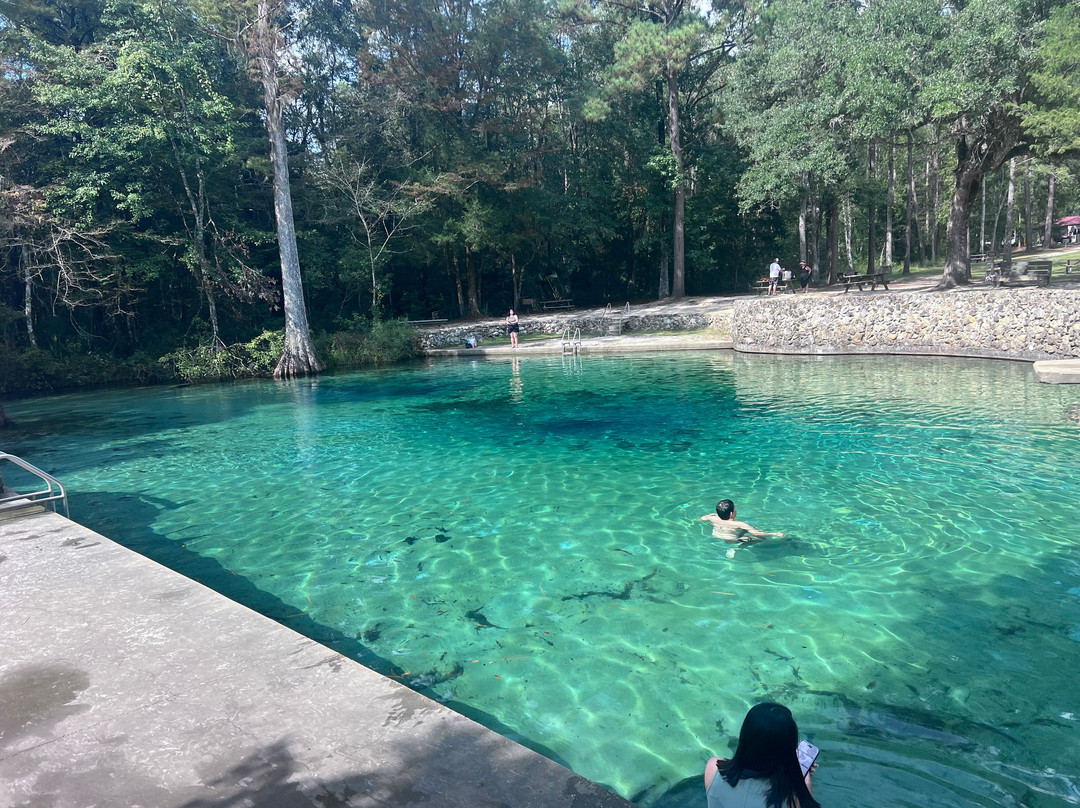 Ponce de Leon Springs State Park-Ponce de Leon必去景点