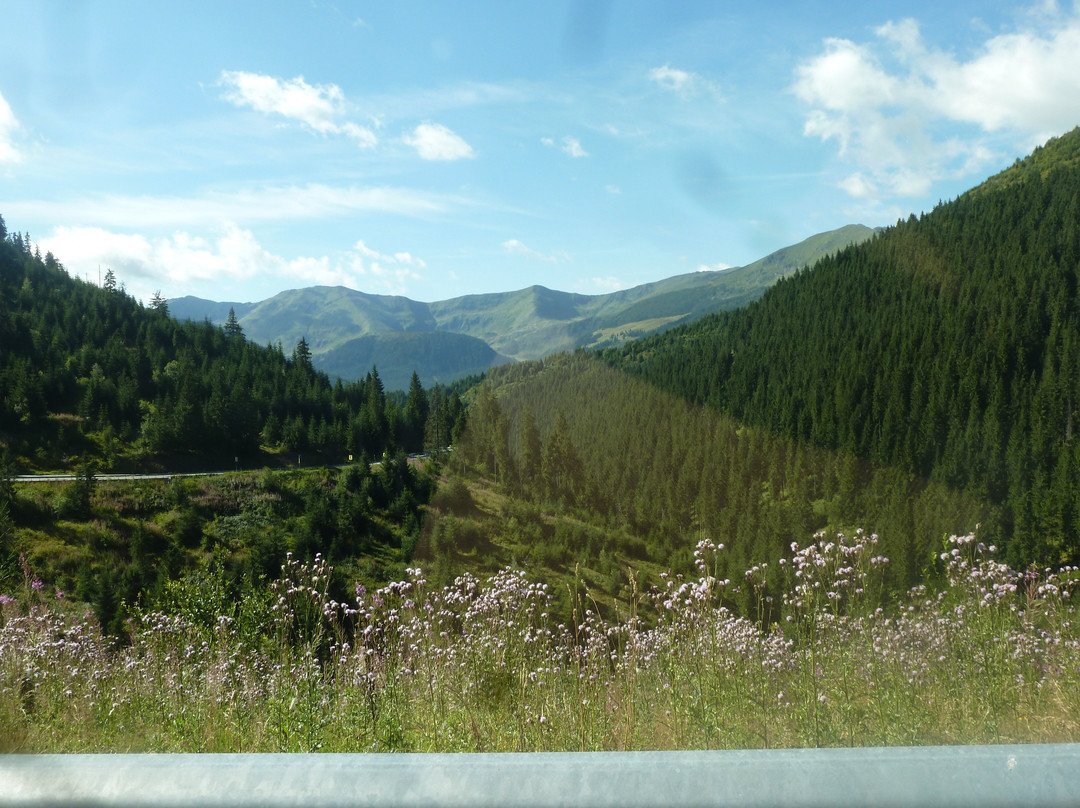 Prislop Pass-马拉穆列什县必去景点