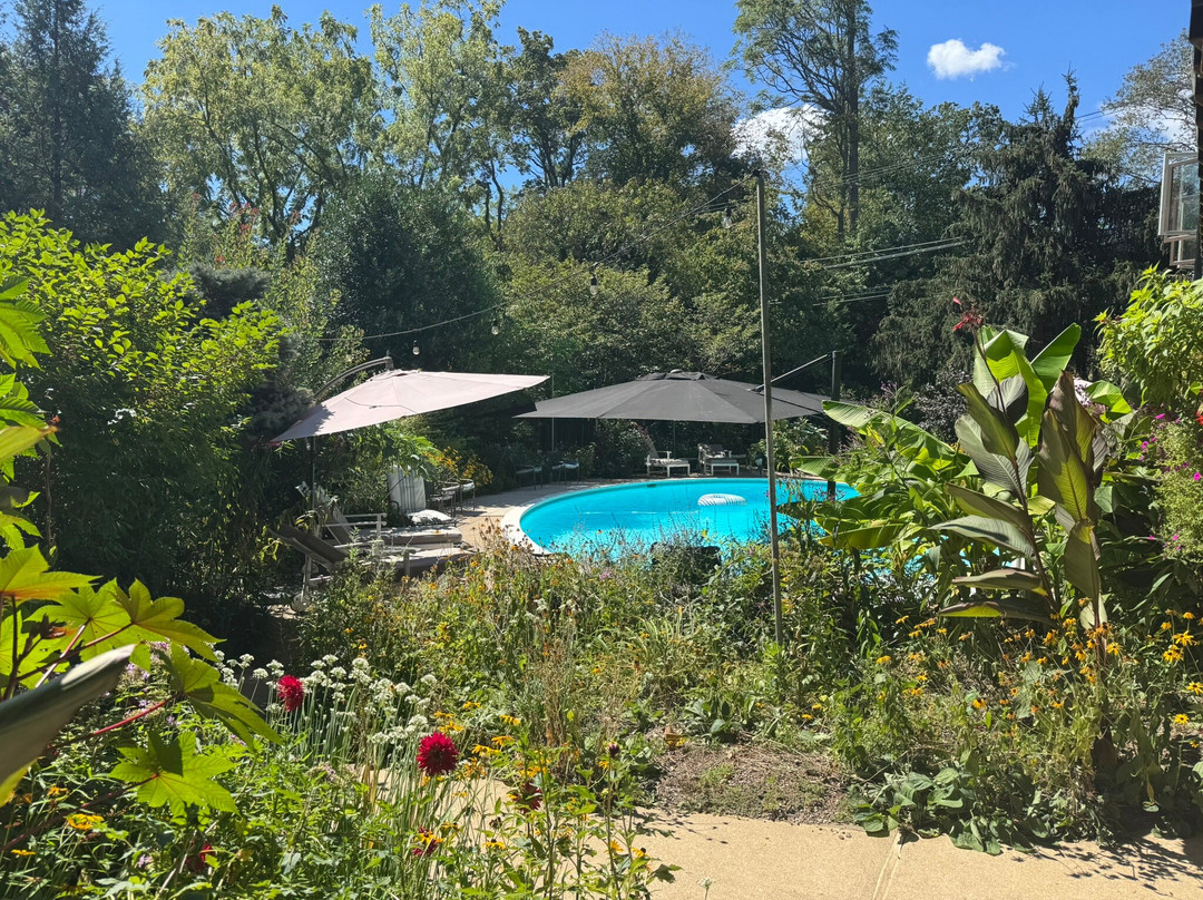 Alpenhof Bed & Breakfast主图