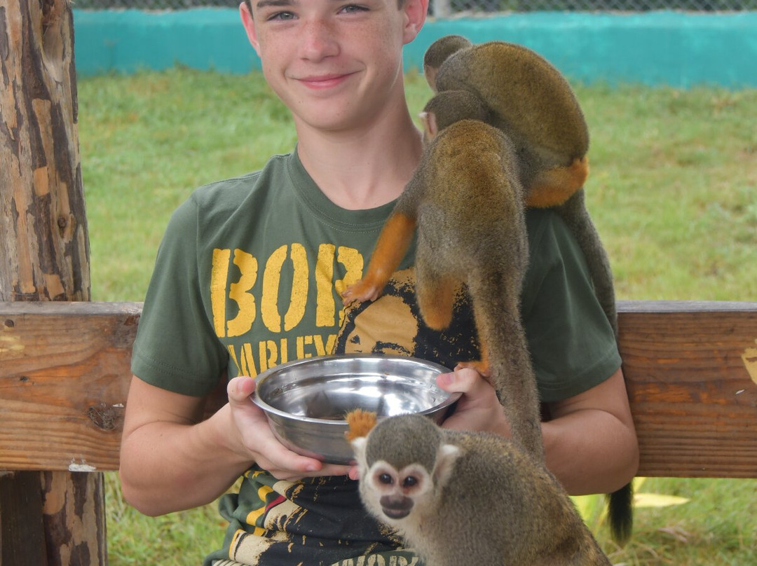 Monkey Home Puerto Plata-普拉塔港必去景点