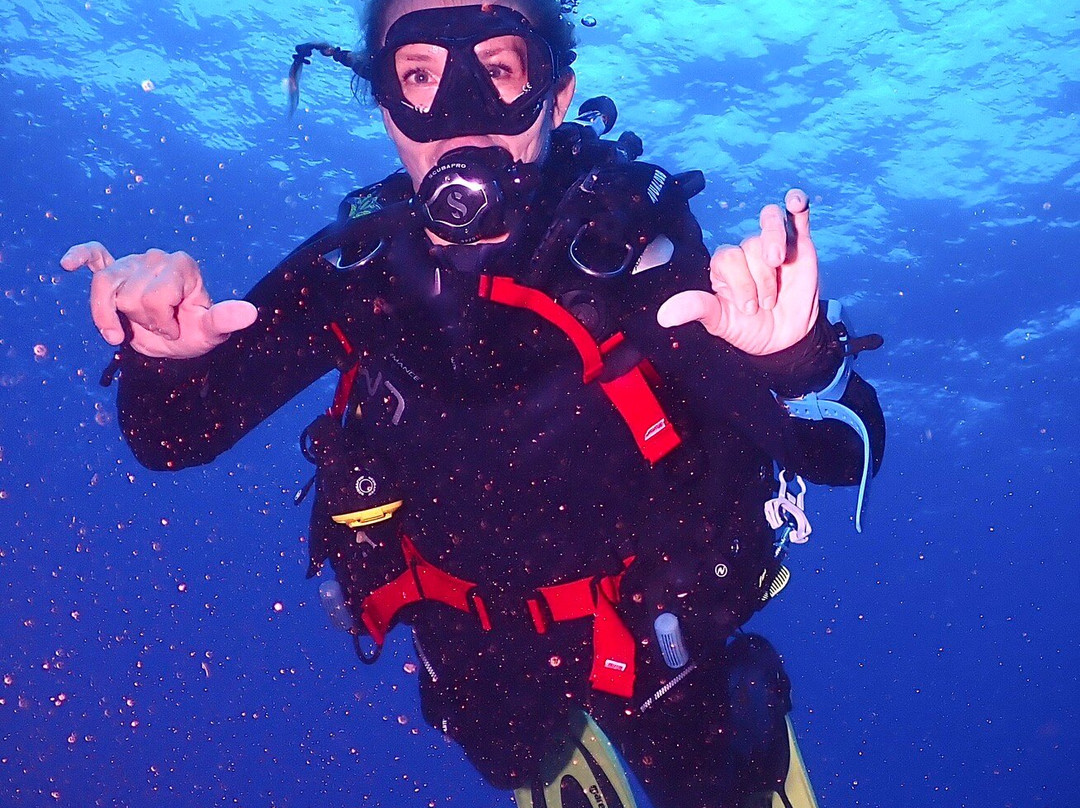 Maui Diamond Sea Sports-玛阿拉也亚必去景点