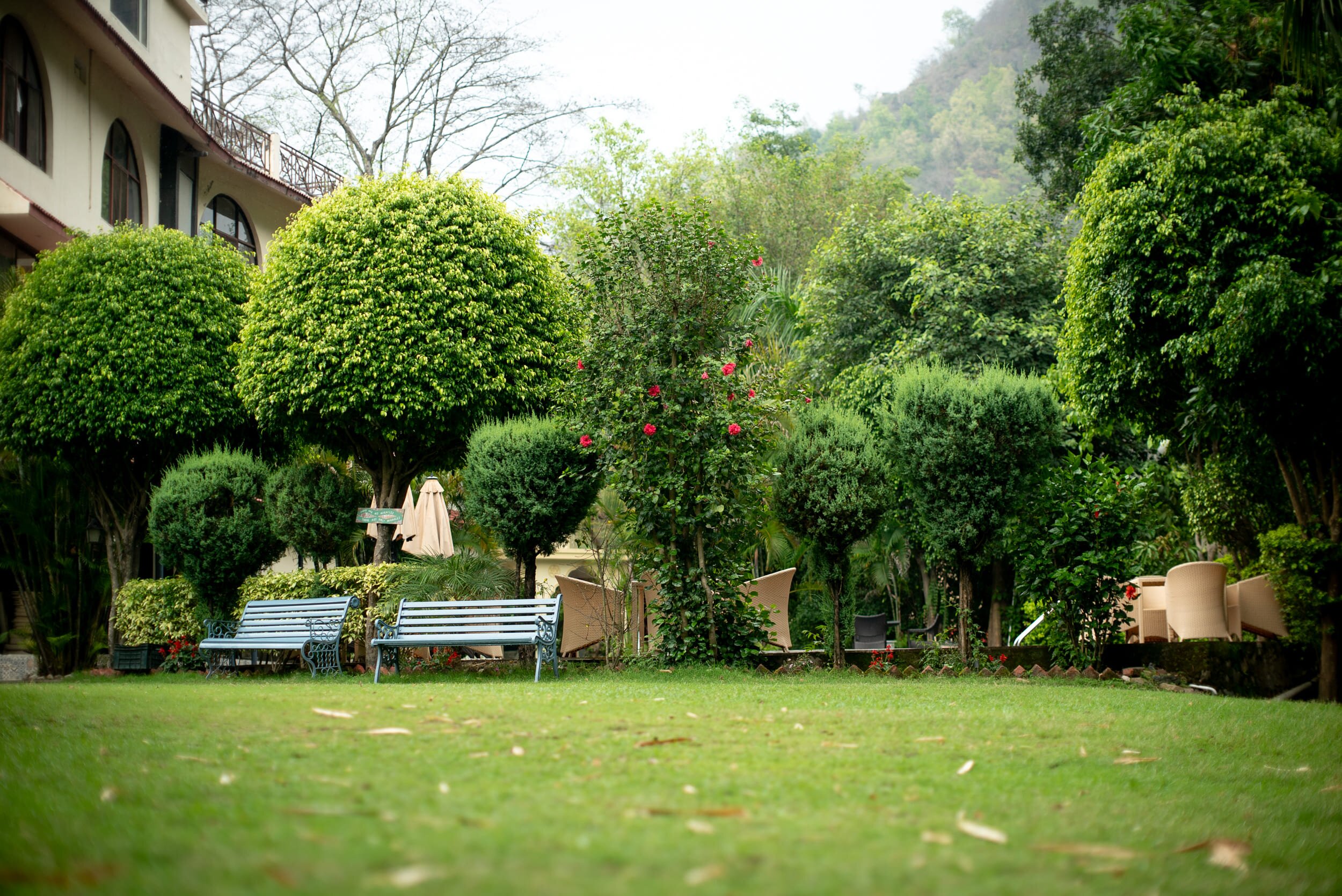 Sattva Retreat-酒店景观