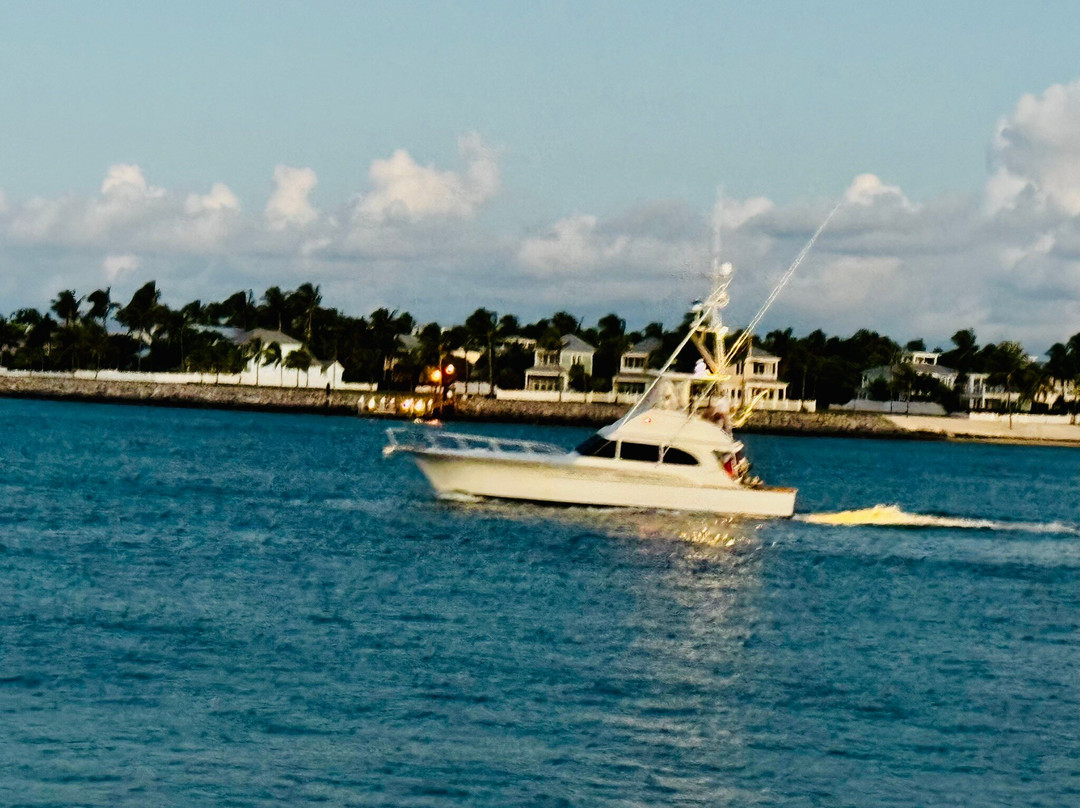 Lolita's Coastal Cocina