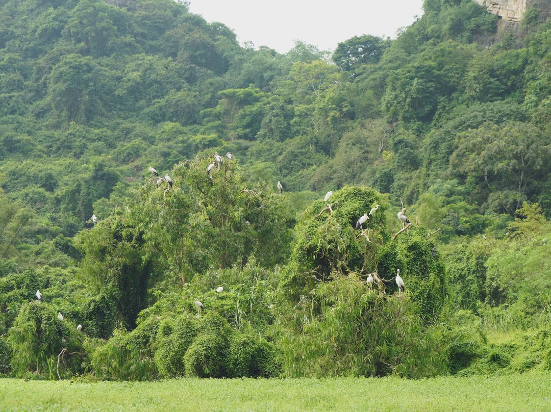 Thung Nham Bird Park-Ninh Hai必去景点