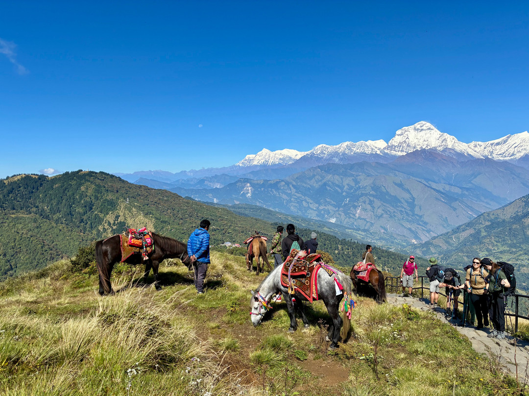 Happy Himalayan Treks Pvt. Ltd.-加德满都必去景点