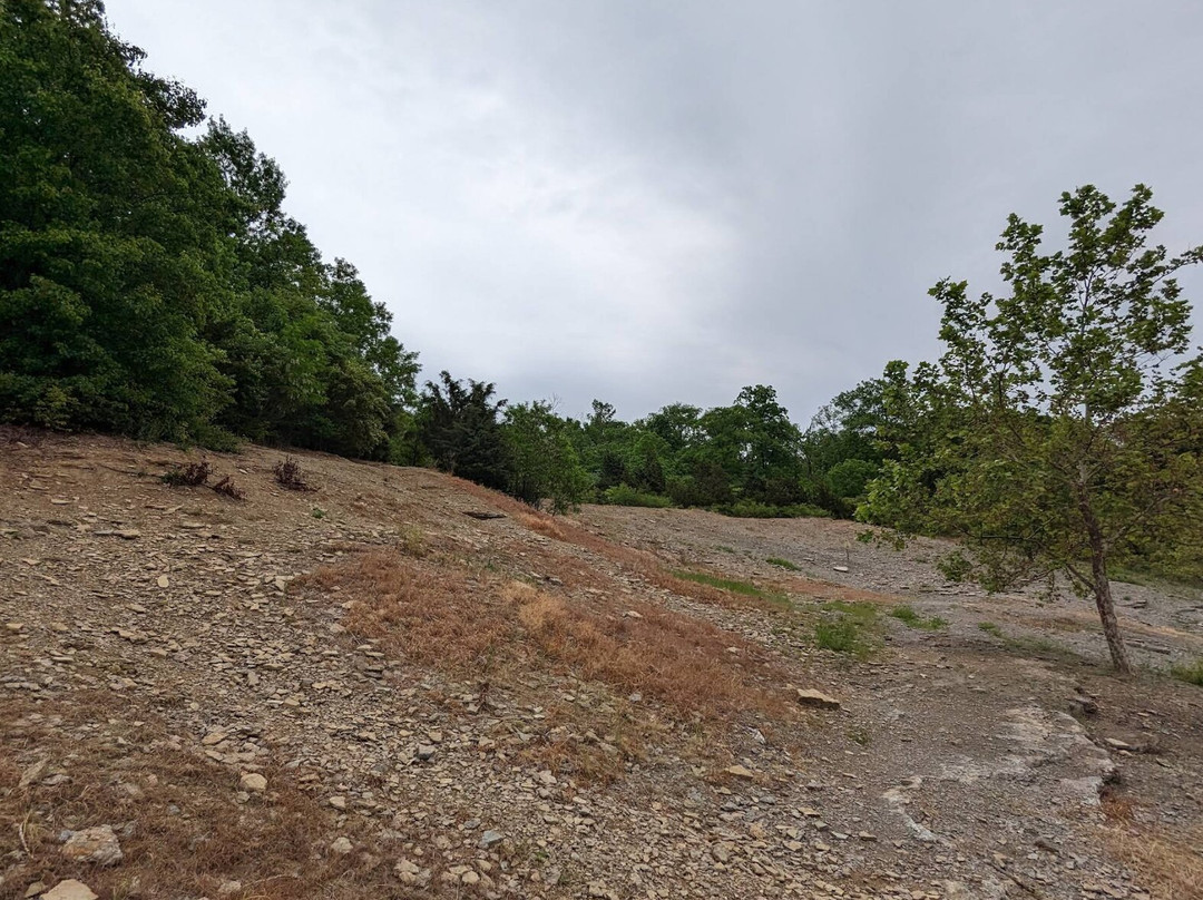 Trammel Fossil Park-沙伦维尔必去景点