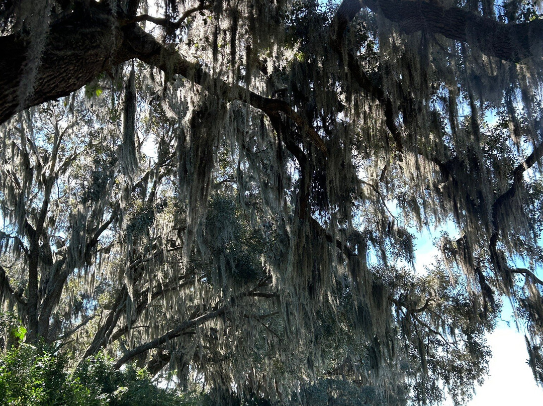 Savannah National Wildlife Refuge-Hardeeville必去景点