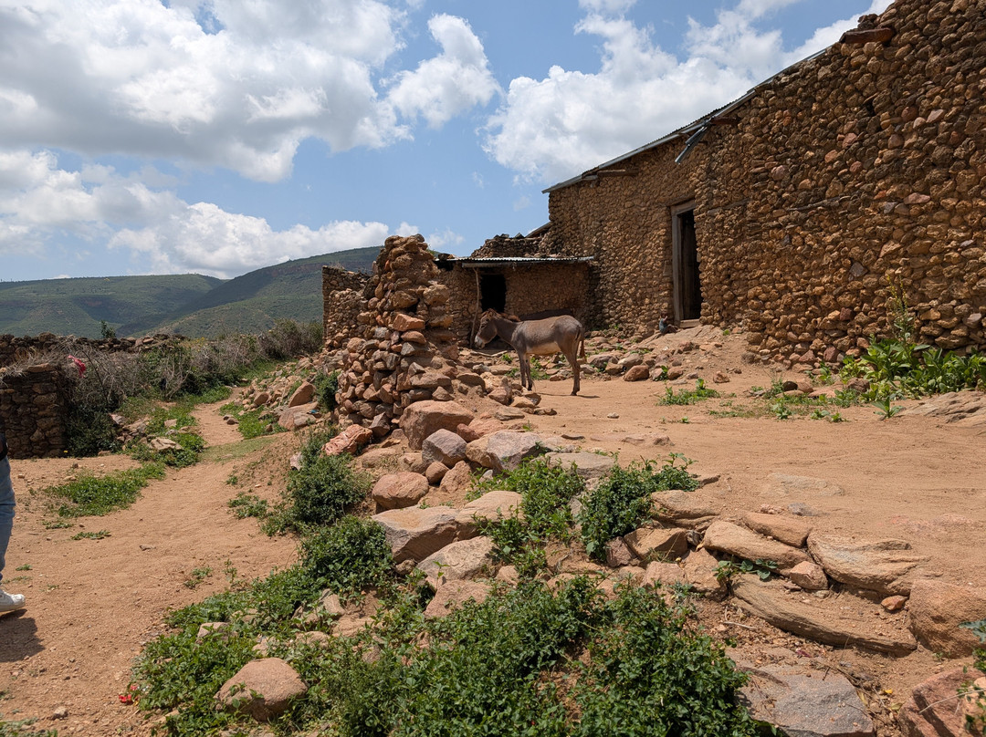 Joel Harar Tours-哈勒尔必去景点