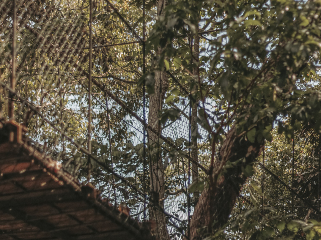 Kenyir Elephant Conservation Village-瓜拉伯浪必去景点