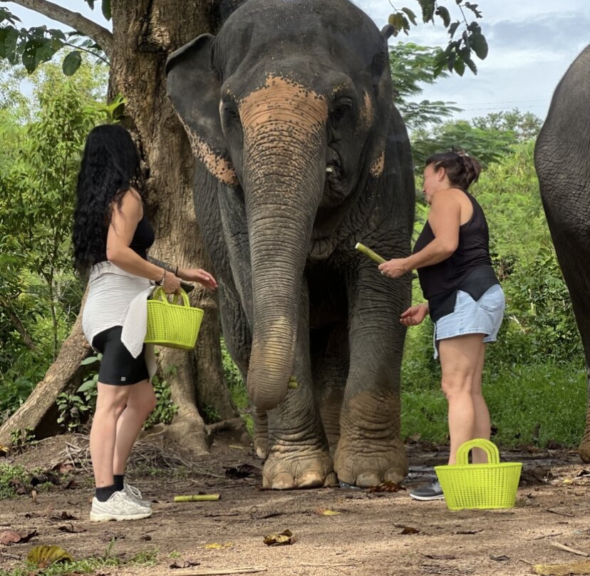 The Lake Phuket Elephant Home-Thep Krasatti必去景点