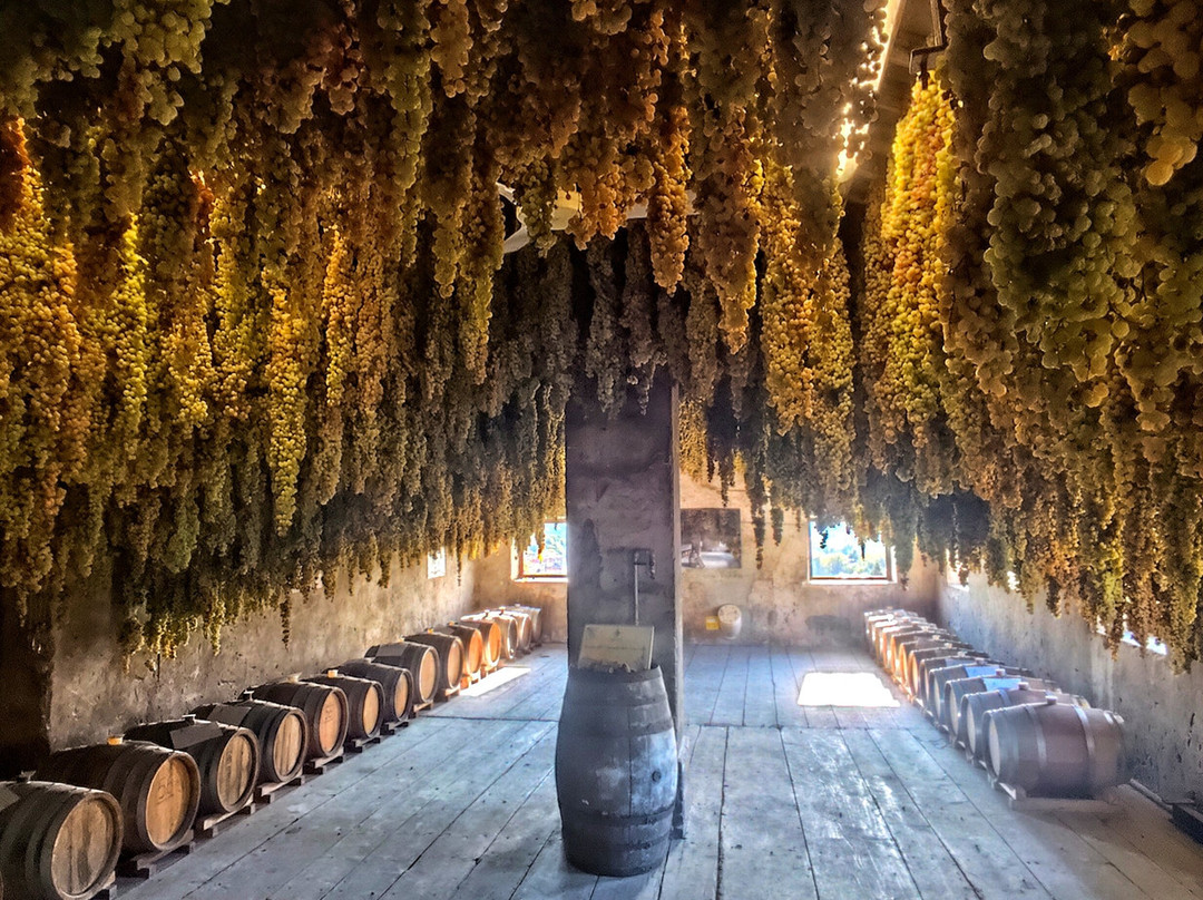 Cantina Giovanni Menti-Gambellara必去景点