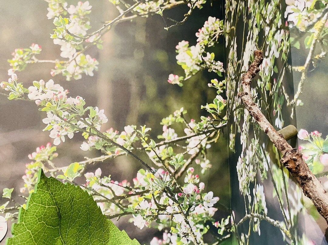 Ramseier Erlebniswelt-苏尔塞必去景点