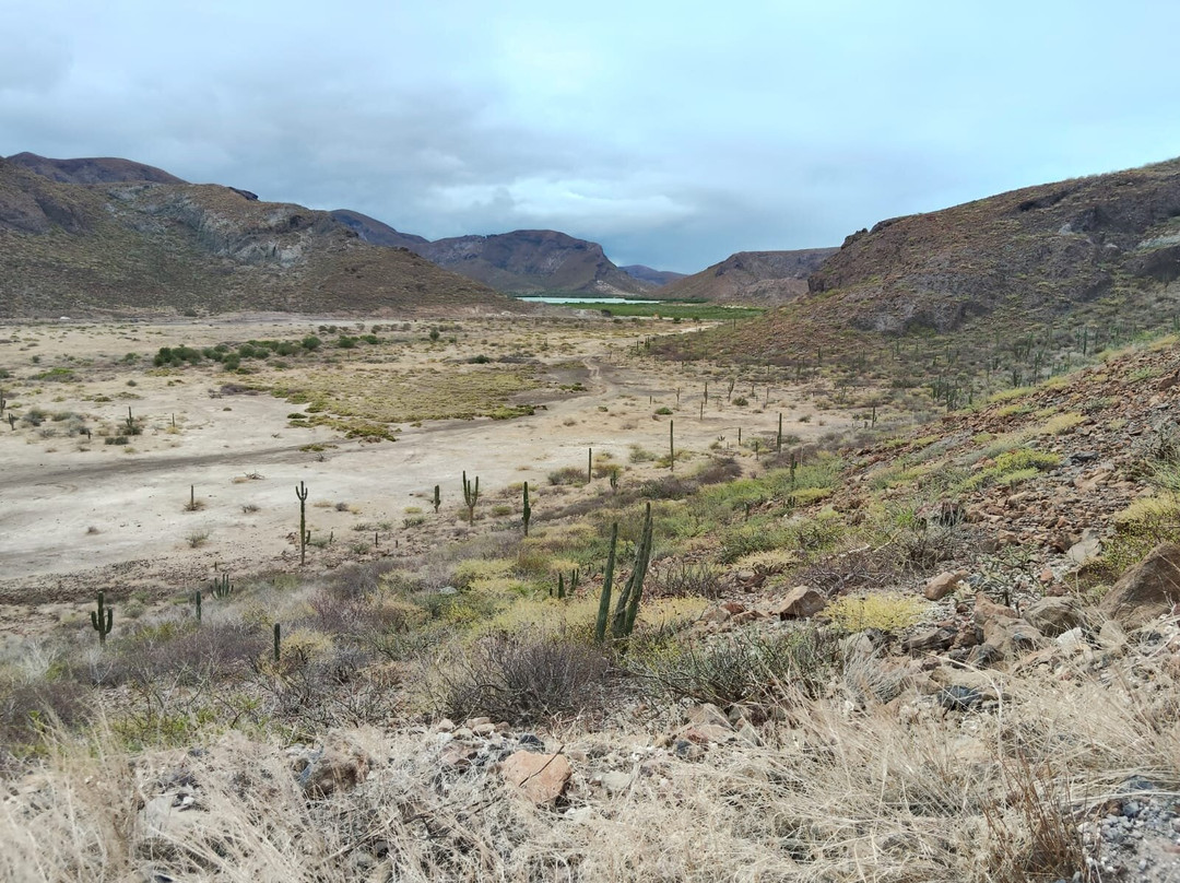 Playa El Tecolote (Tecolote Beach)-拉巴斯必去景点