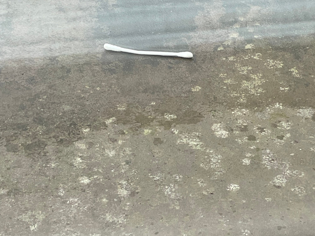 兰开斯特假日酒店主图