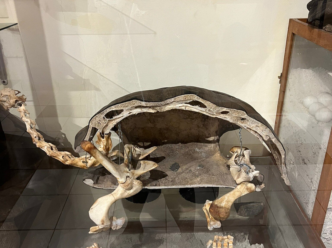 Francois Leguat Reserve-罗德里格斯岛必去景点