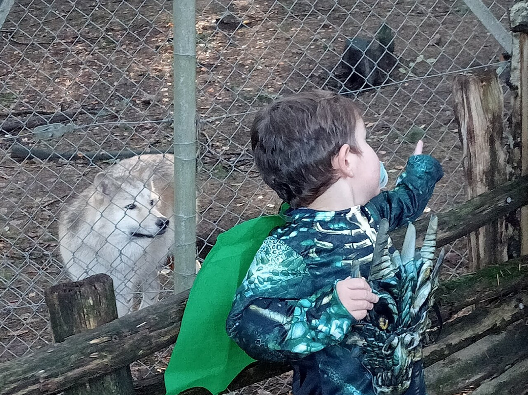 Loups de Chabrières-Gueret必去景点