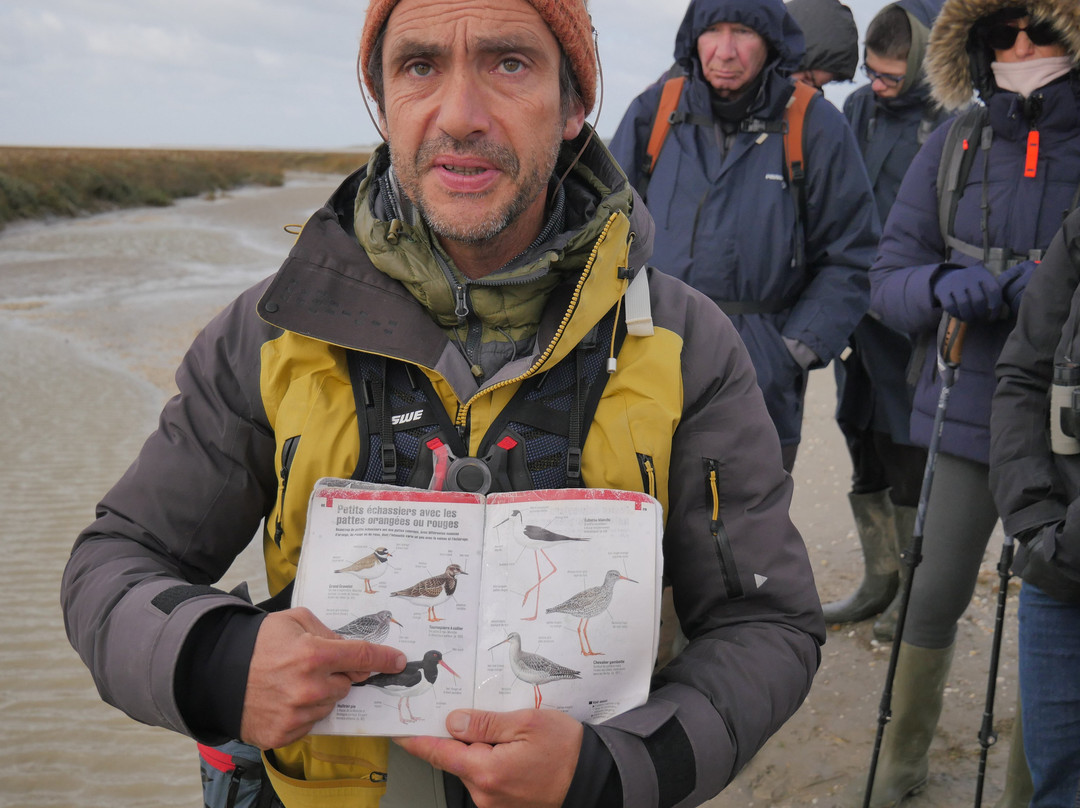 Maxim Guide Baie de Somme-Boismont必去景点