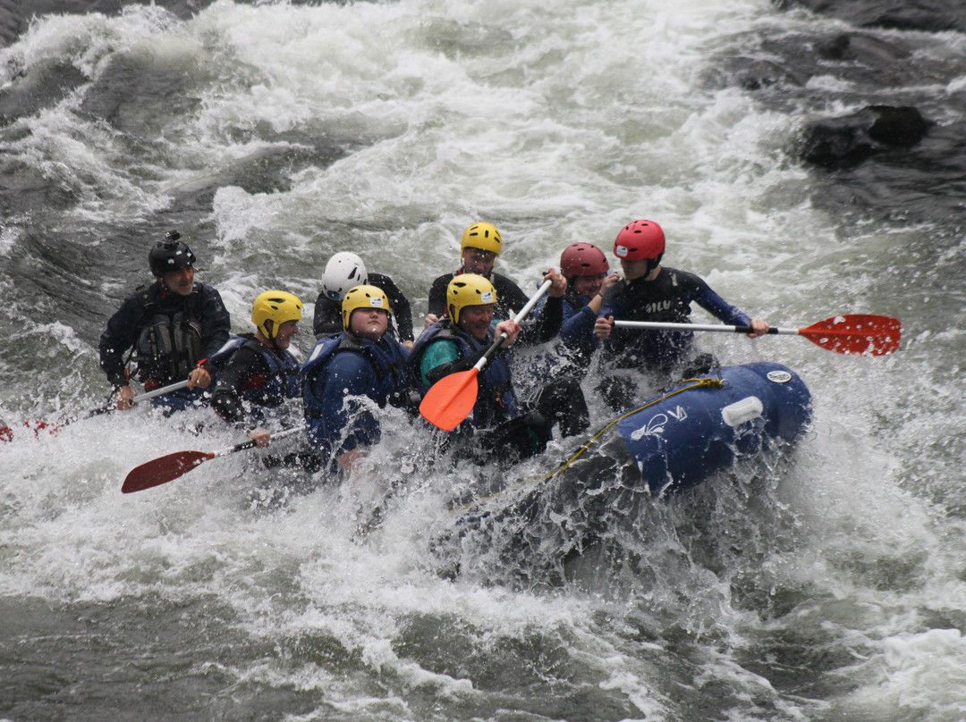 Vaguadaventura-Arbo必去景点
