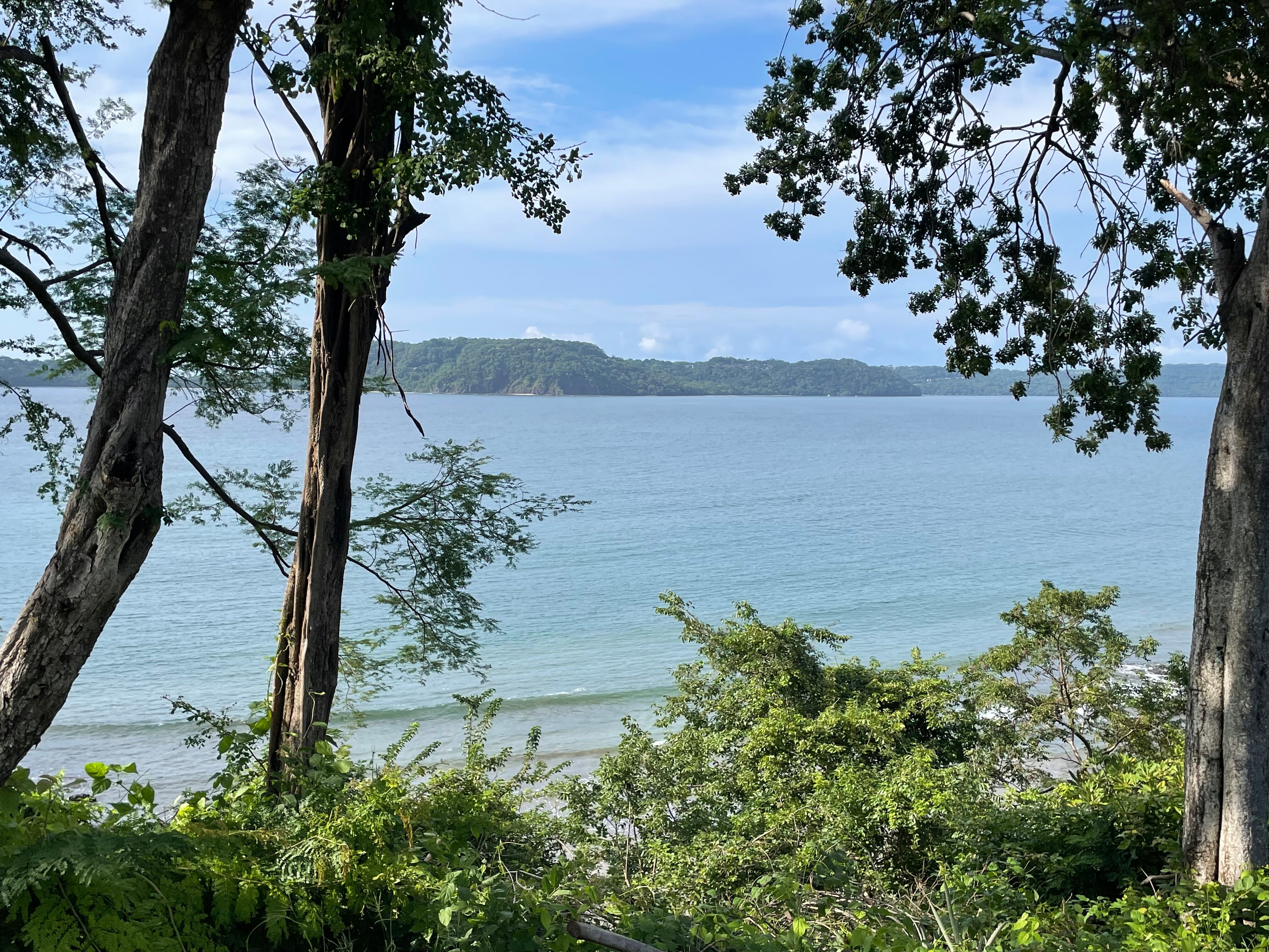 Occidental Papagayo-泳池