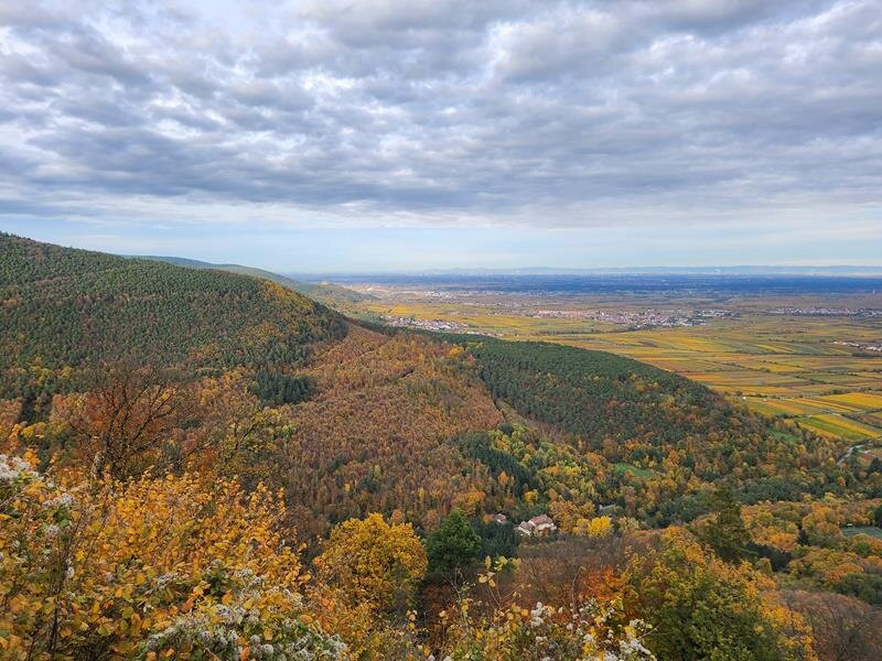 Rietburgbahn-Edenkoben必去景点