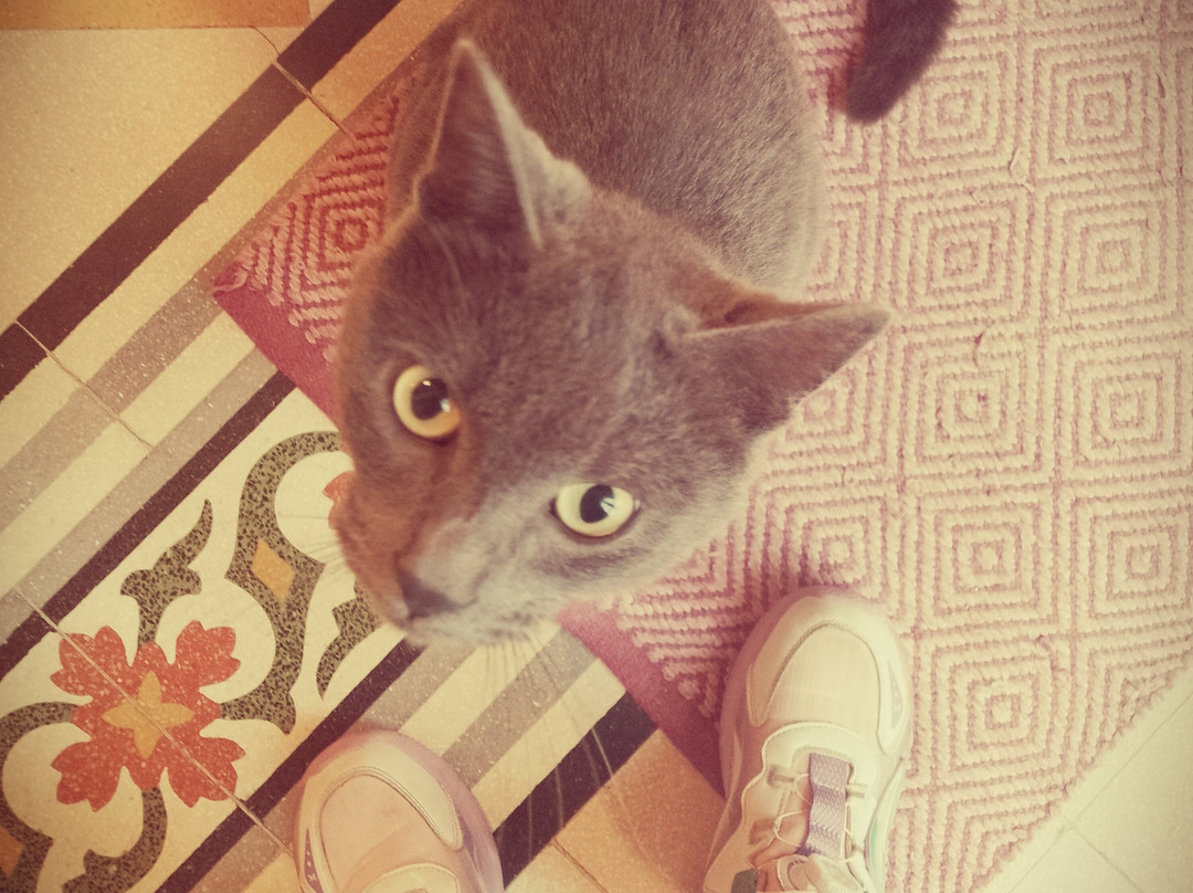 Marta Guest House主图