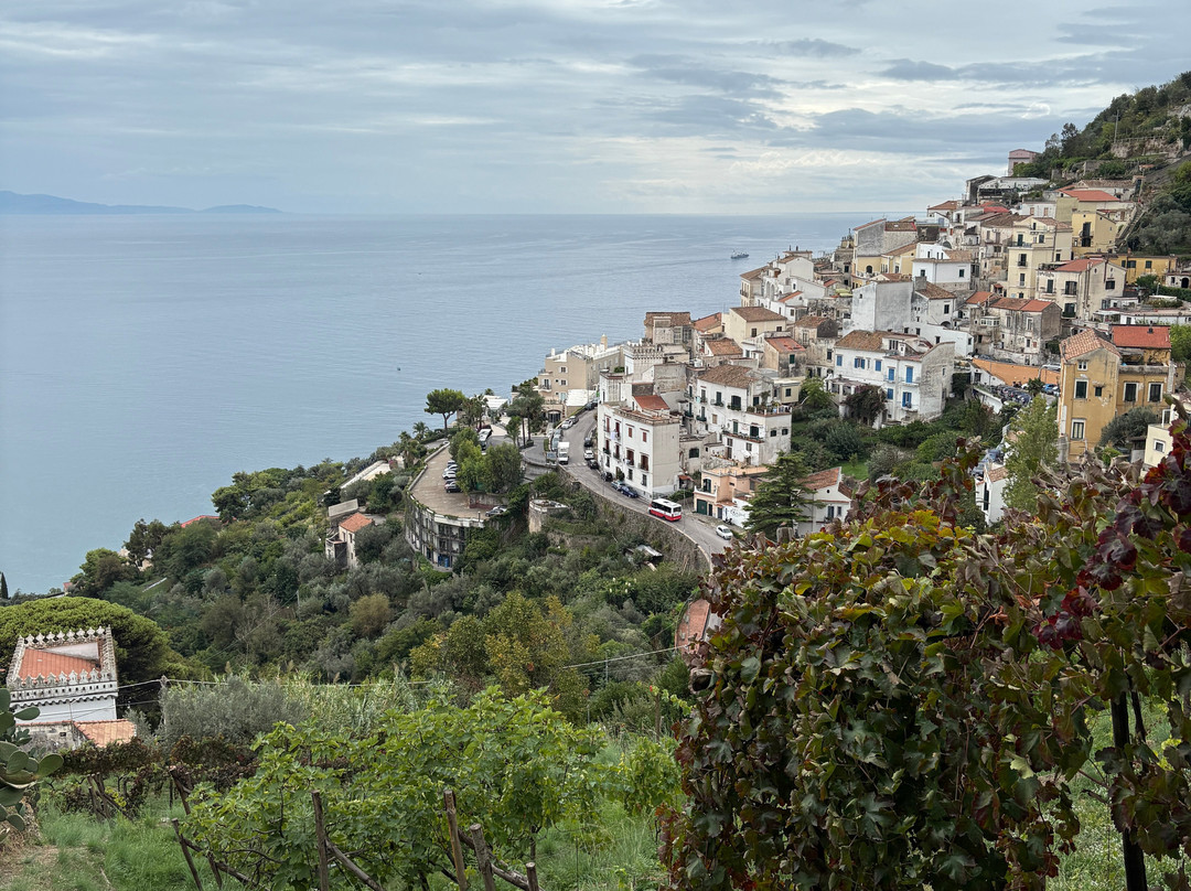 Le Vigne di Raito-Raito必去景点