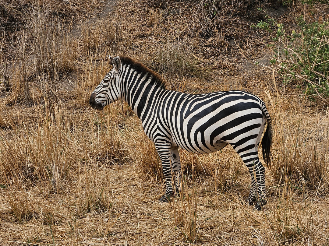 FB Tanzania Expeditions-阿鲁沙必去景点