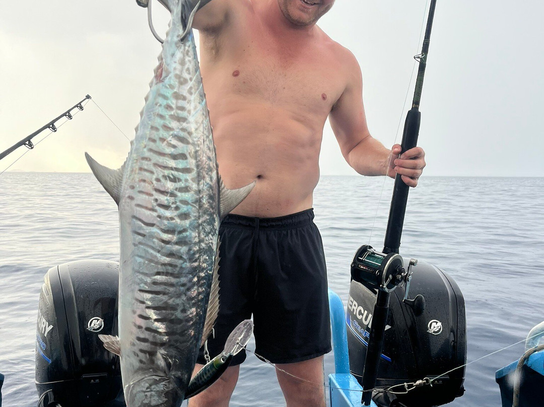 Nautilus Adventure Tours-纳迪市必去景点