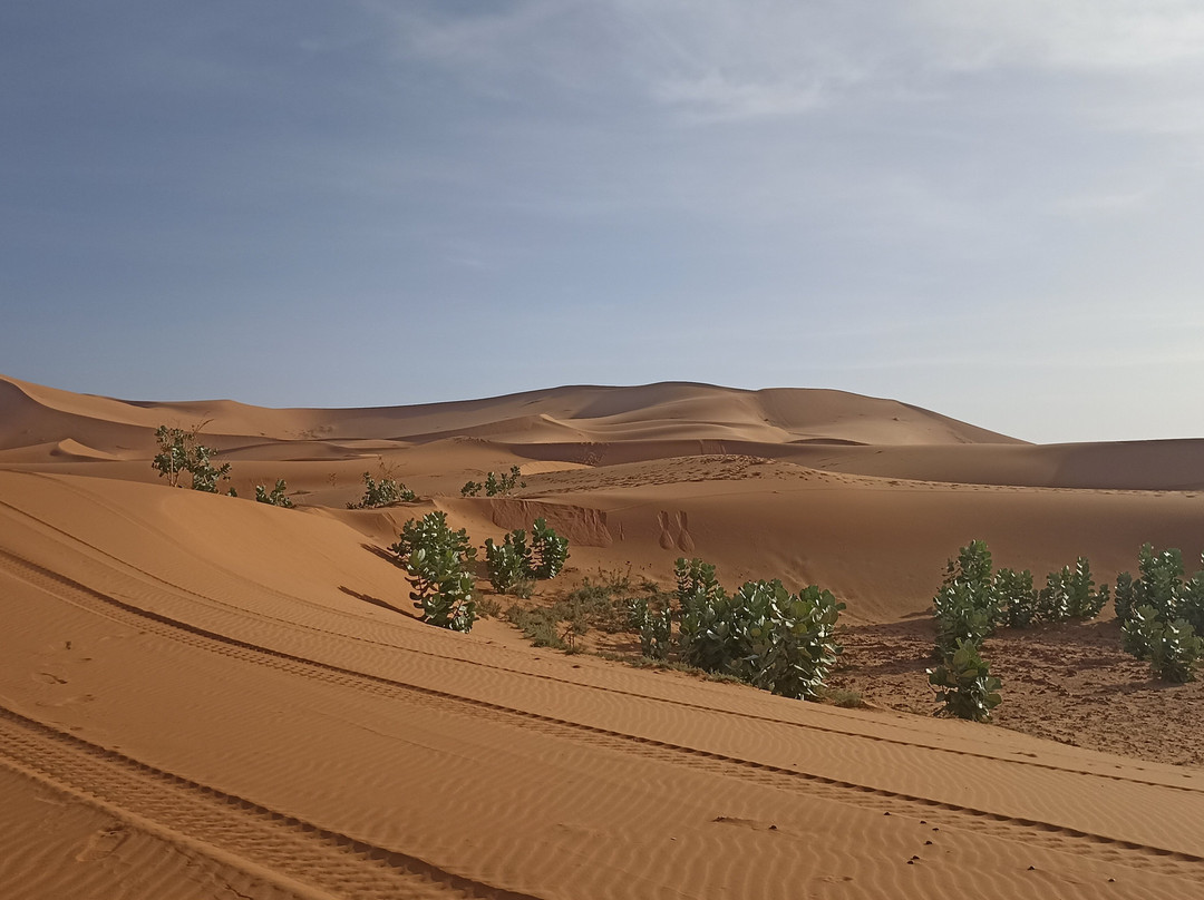 Rutas Al Desierto-马拉喀什必去景点