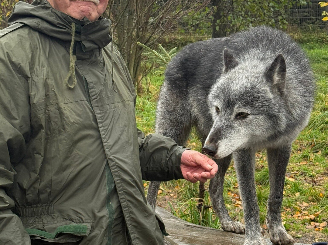 Predator Park-Ayside必去景点