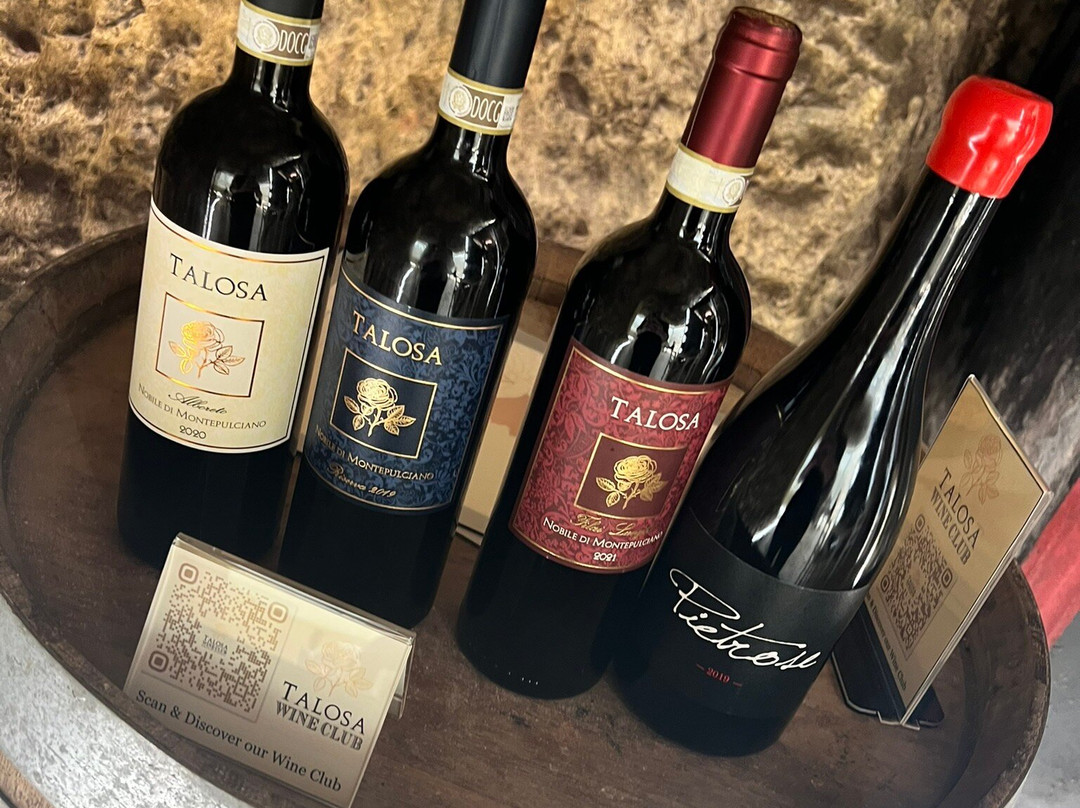Montalcino Wine Tours-蒙塔尔奇诺必去景点
