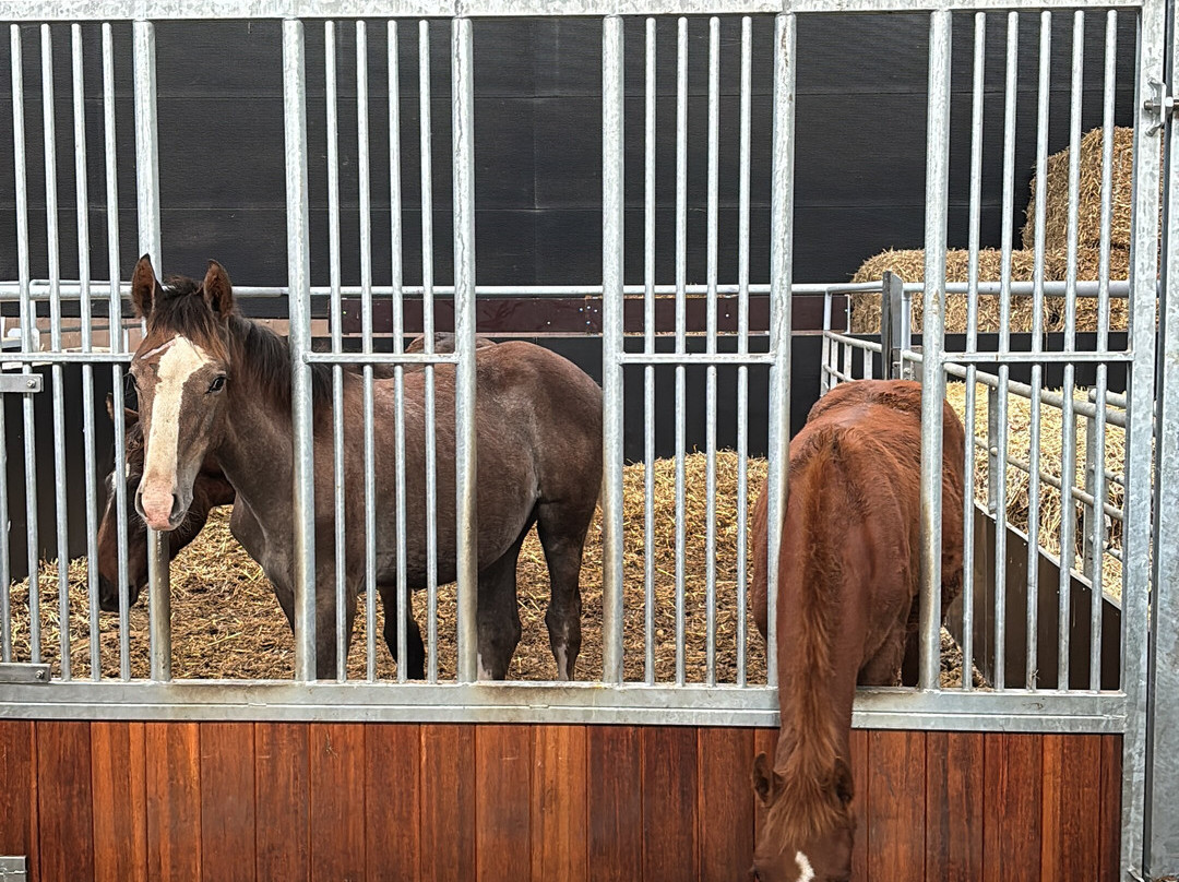 欧登霍夫别墅主图