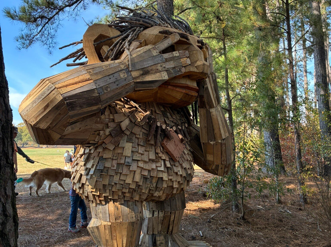 Dorothea Dix Park-罗利必去景点