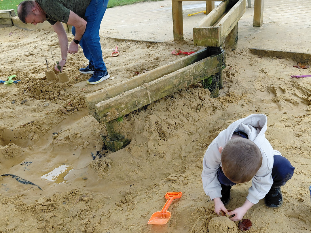 The Web Adventure Park-Wigginton必去景点