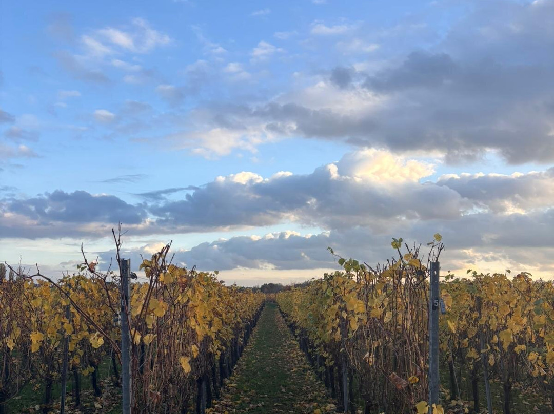 Wijnsafari In De Maasvallei-Kinrooi必去景点