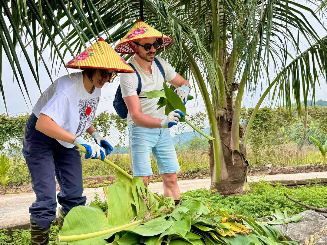 Trang An Farmhouse - Cooking Class-Ninh Hai必去景点