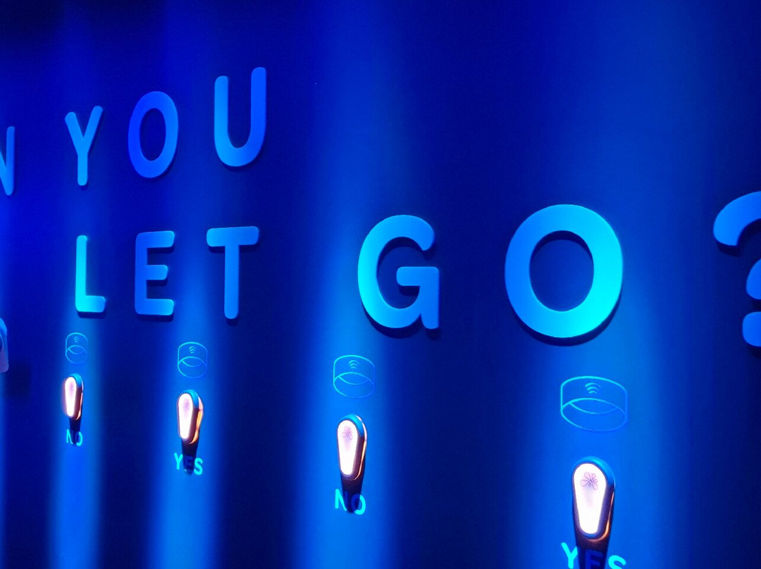 Moir - The Museum Of Infinite Realities-布鲁塞尔必去景点