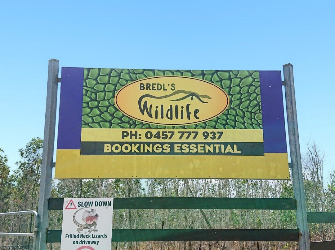 Bredl's Wildlife-艾尔利滩必去景点