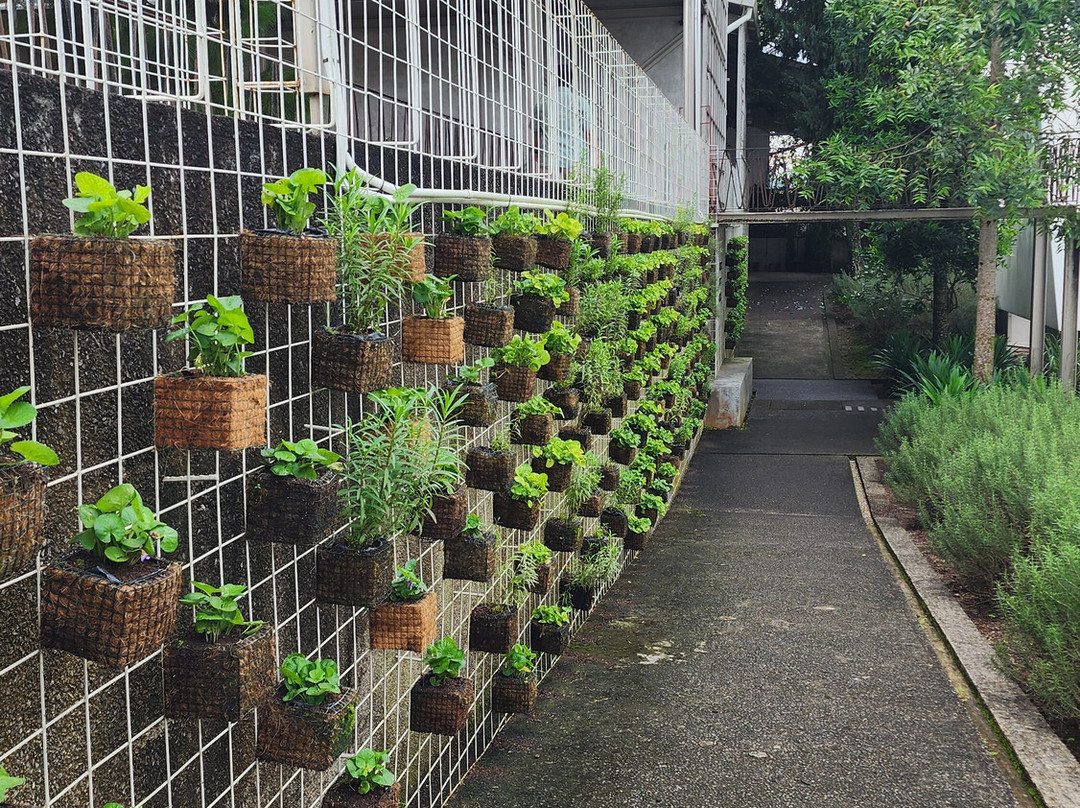 Rumah Atsiri Indonesia-Tawangmangu必去景点