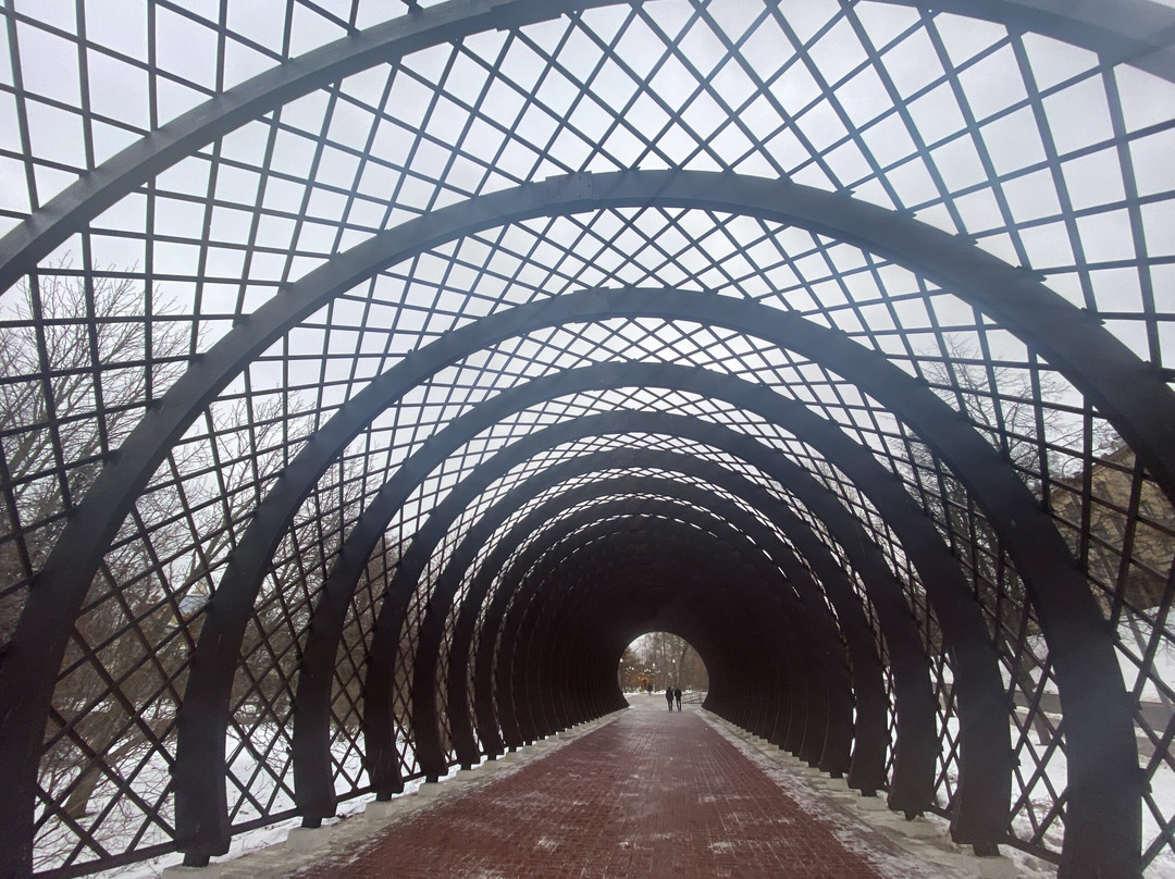 Pushkinskiy / Andreyevskiy  Bridge-莫斯科必去景点