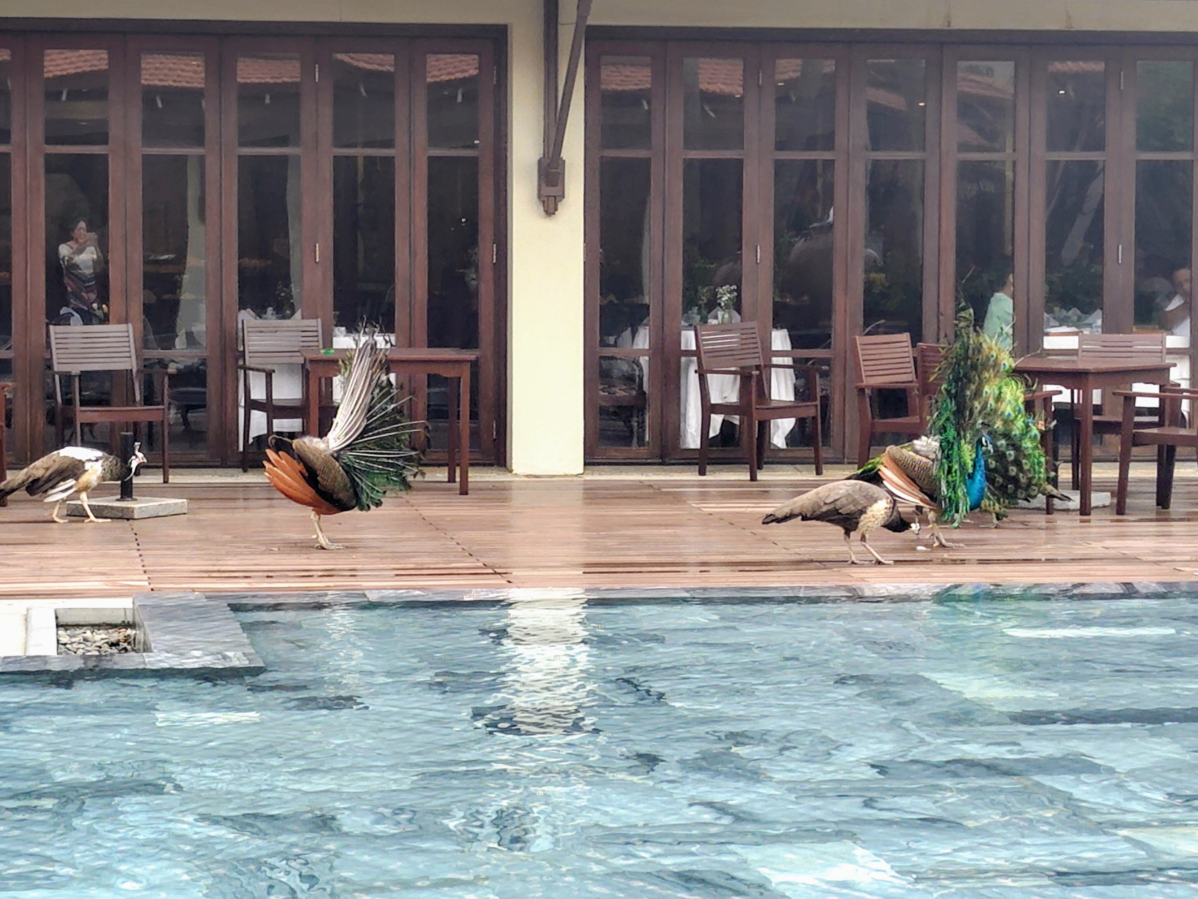 岘港富丽华大酒店-浴室