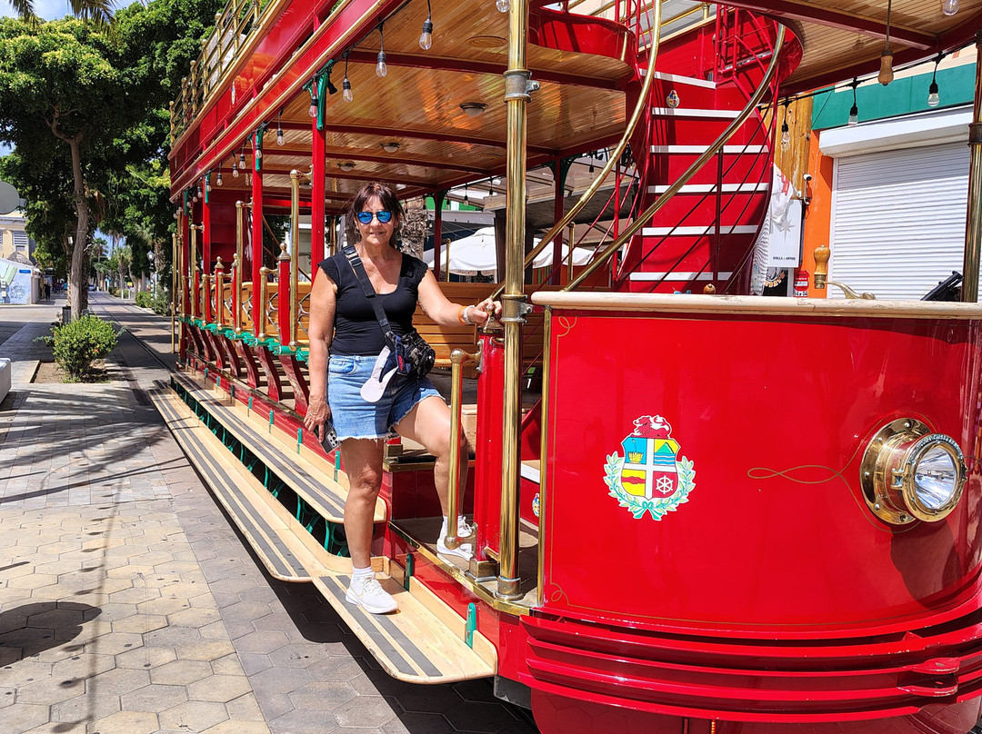 Divi Tree-Noord必去景点