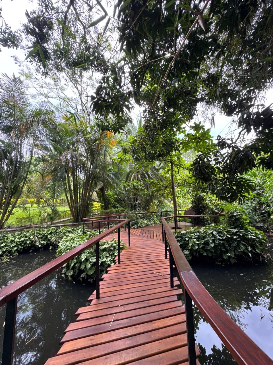 Aishi Machame Hotel-官方