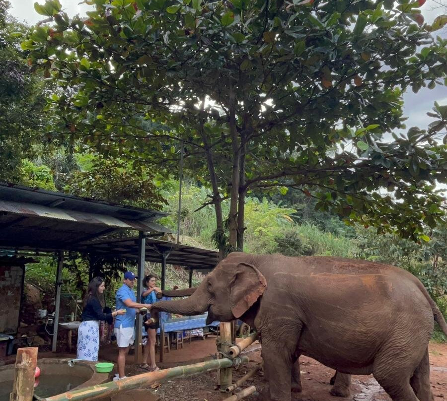 Elephant Sanctuary Care Park-清迈必去景点